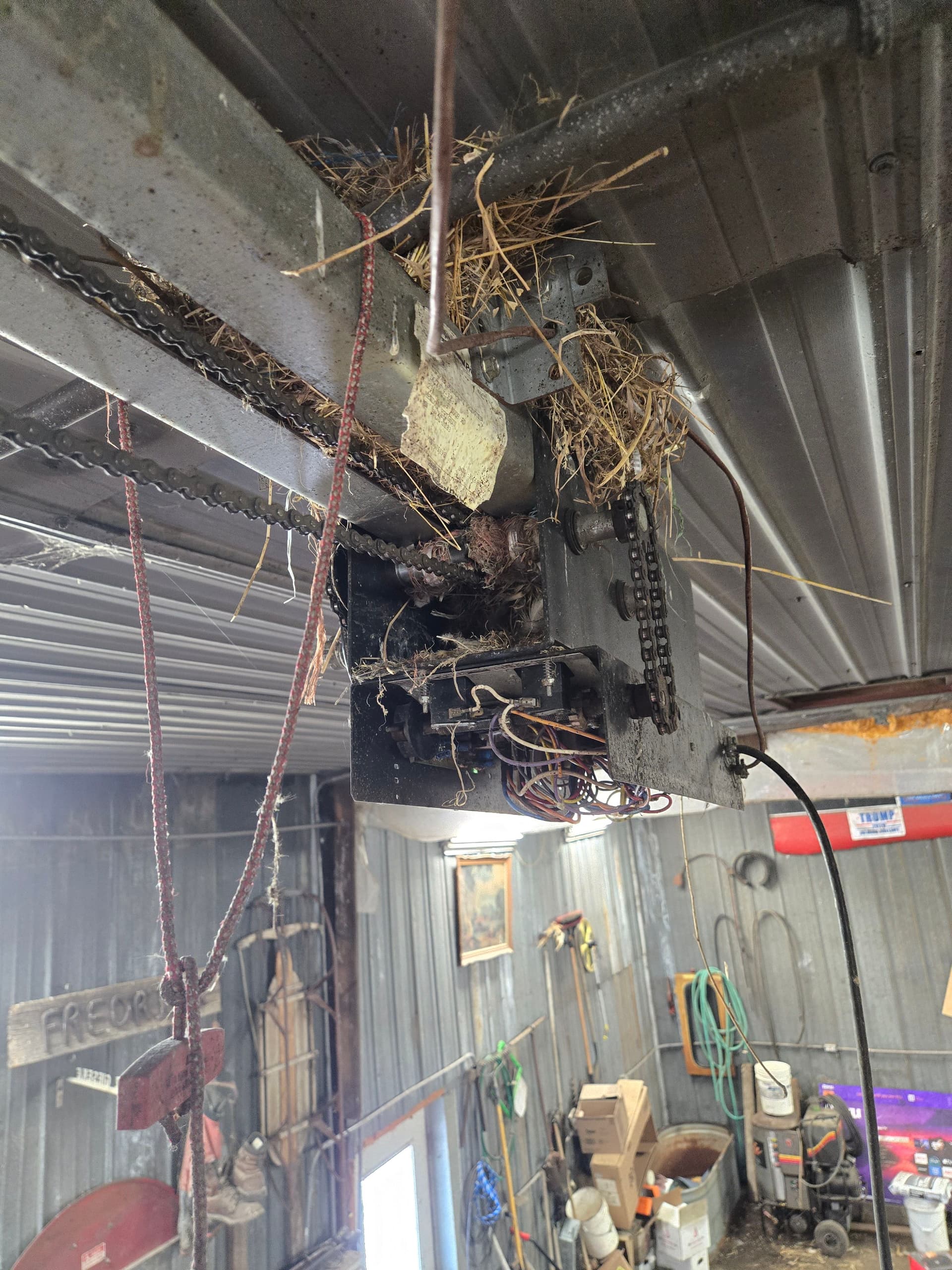 Garage Door Openers and Nature's Surprises