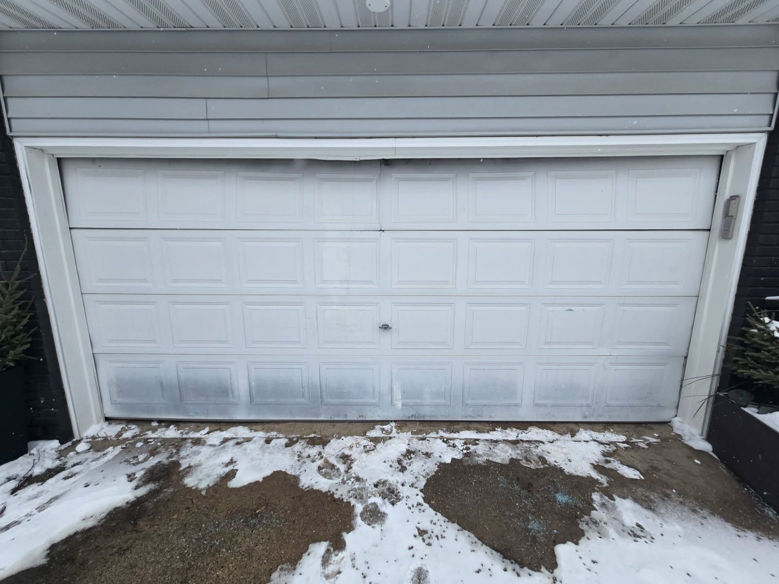 Refreshing Garage Door Replacement in Style image
