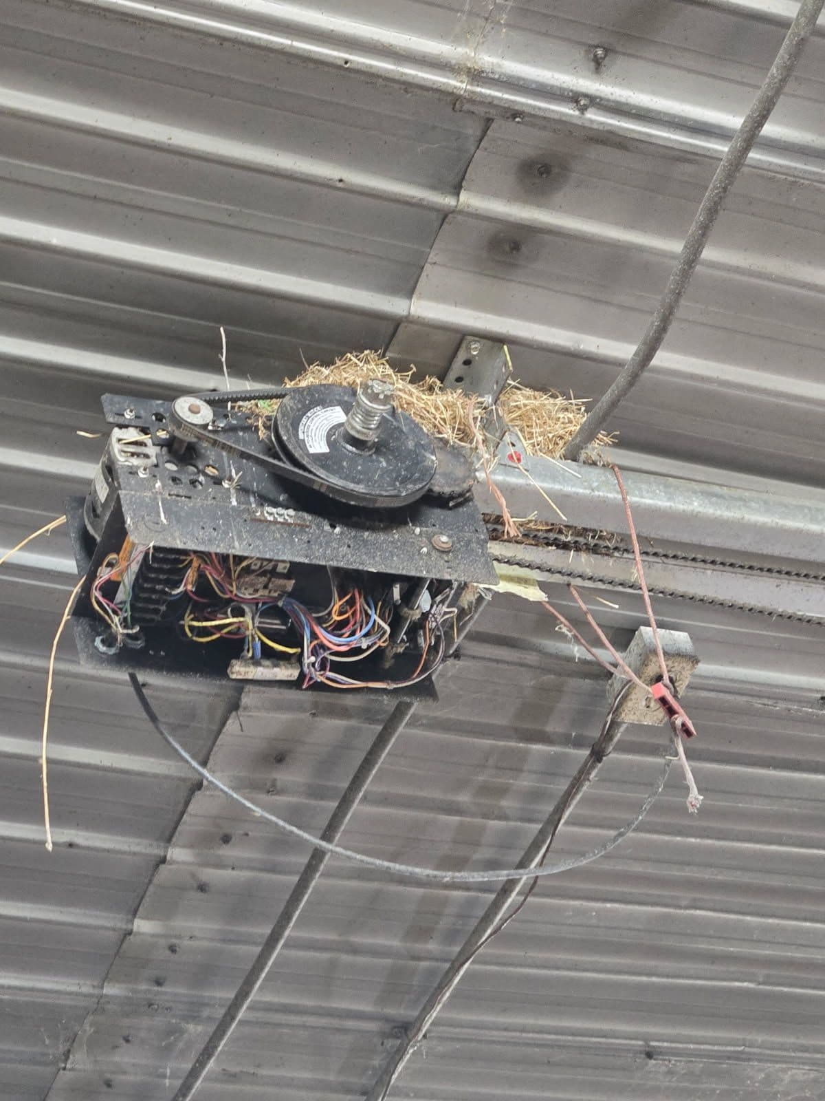Project Upgrading Your Garage Opener to Prevent Bird Nest Problems image
